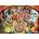 Ravensburger - Puzzle Trick or Treat - 1 000 piese