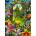 Enjoy - Puzzle Garden Passage - 1 000 piese