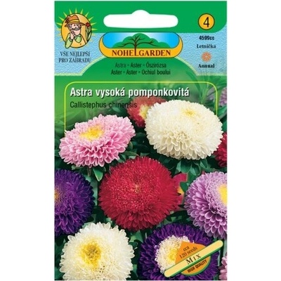 Nohel Garden Astra čínska vysoká pomponkovitá, zmes