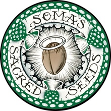 Soma Seeds Sogouda semena neobsahují THC 3 ks