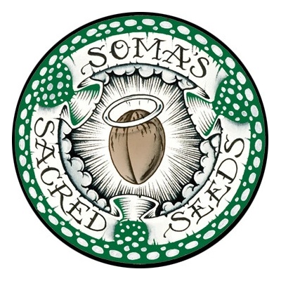 Soma Seeds Sogouda semena neobsahují THC 3 ks