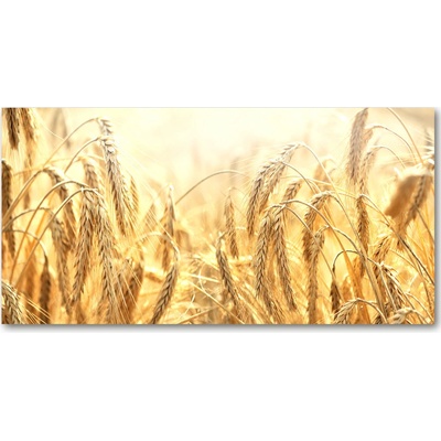 Moderný foto obraz na stenu tovar 100x50 cm