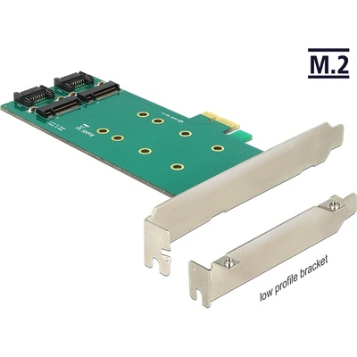 Delock PCI Express карта 2 x вътрешен M. 2 Key B 110 мм - Нисък профил