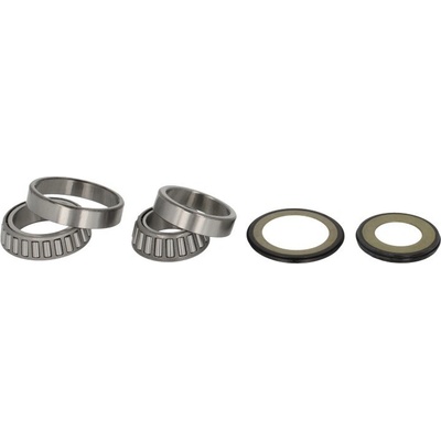 Opravná sada ložisek řízení All Balls HONDA FJS 600 Silver Wing (FCS 600) rok 01-15 – Sleviste.cz