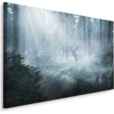 Plátno Jelen V Temném Lese Varianta: 70x50