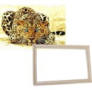 Gaira Malovanie podľa čísel Leopard