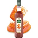 Teisseire Sirup Slaný Karamel 0,7 l