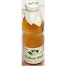 Nature Notea Babiččin sirup Šípek konopí 0,5 l