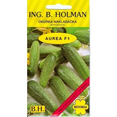Holman F1 Aurea uhorky nakladačky jemnoostná 2 g