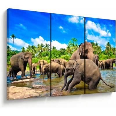 Obraz - Sloni, Sri Lanka, třídílný 120x80 cm – Hledejceny.cz