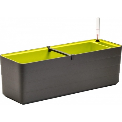 Plastia truhlík Berberis sivý + zelený 60 cm