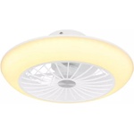 GLOBO Lafee 03632W