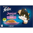 Krmivo pro kočky Felix Fantastic Junior s kuřetem a lososem v želé 4 x 85 g