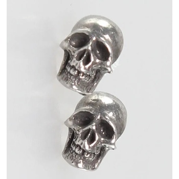 Image 1 of Alchemy gothic обеца Мортауриум - alchemy gothic - e342