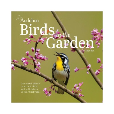 Workman s Audubon Birds in the Garden Wall 2027