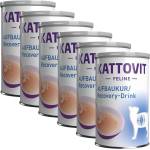 KATTOVIT Recovery Drink 6 x 135 мл