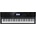 Casio WK 7500