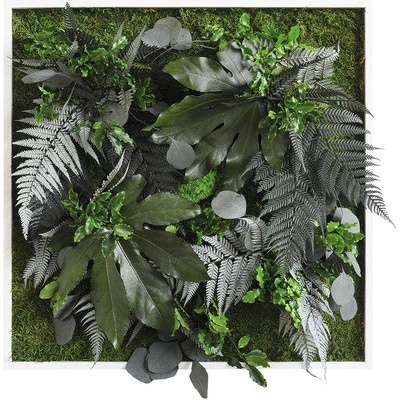 Obraz z rastlín styleGREEN Džungľa 55x55 cm