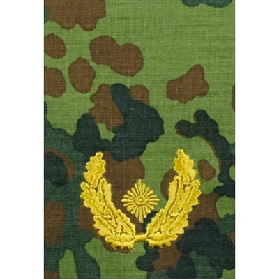 Bundeswehr Náramenník BW BRIGADEGENERAL FLECKTARN/zlaté vyšitie