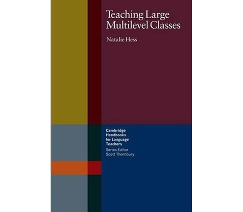 Teaching Large Multilevel Classes
