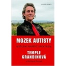 Mozek autisty