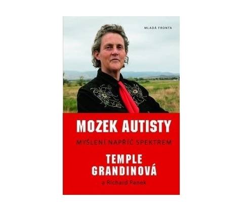 Mozek autisty