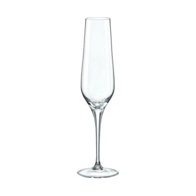 Bohemia Crystal Sklenice na šampaňské Rebecca 195ml 6 x