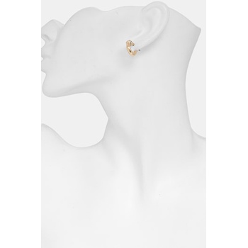 Lauren Ralph Lauren обици дамски от метал LINDELLA (14G01462)
