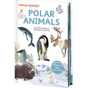 Ultimate Spotlight - Polar Animals | Da-Fanny Da-Fanny (ISBN: 9791027608782)