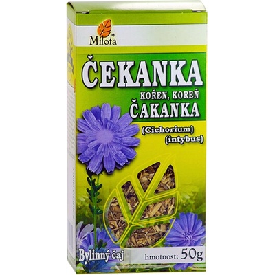 Milota Čaj Čekanka kořen 50 g