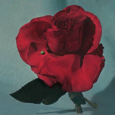 Metz - Up On Gravity Hill (Limited Edition) (Yellow Coloured) (LP) (0098787156003)