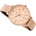 Fossil ES4628