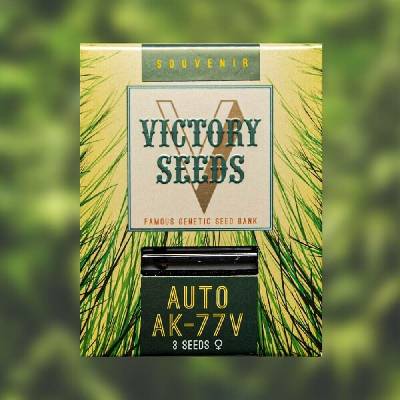 Victory Seeds AUTO AK-77V semena neobsahují THC 10 ks