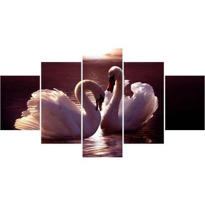 Moderní obraz F002698F150805PCS (Pětidílný 150x80 cm)