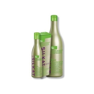 Bes Silkat Protein Shampoo Seboequilibrante 1000 ml