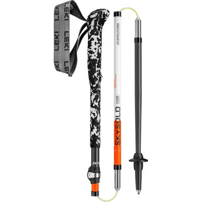 Leki Skysolo FX.One Carbon – Hledejceny.cz