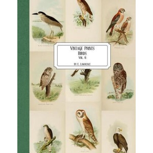 Vintage Prints: Birds: Vol. 6 | E. Lawrence (ISBN: 9781727163728)