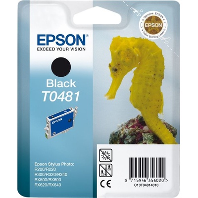 Epson T0481 Black - originálny