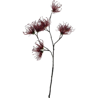 Větev Spider červená V70 cm
