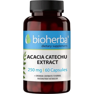 Bioherba Acacia Catechu Extract, 250 mg, 60 капсули, Bioherba