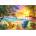Educa - Puzzle Playa del Amor - 1 000 piese
