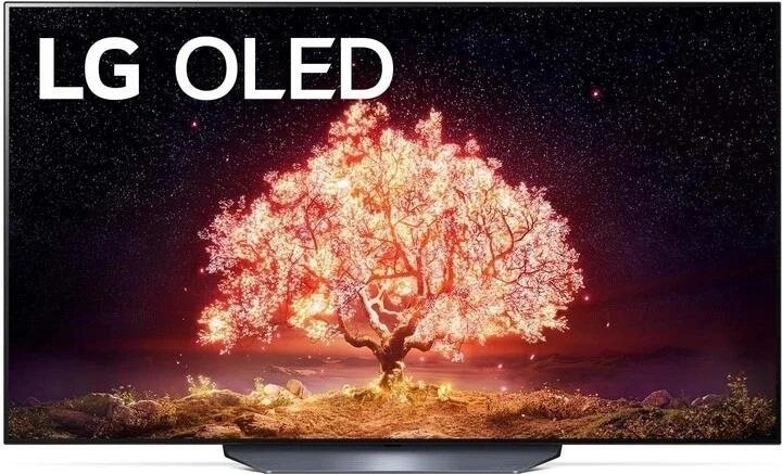 LG OLED55B13