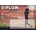 Diplom golf