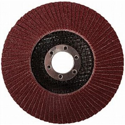 REBIOP, s.r.o. BB Tools Lamelový kotúč 125 mm hr. 80 21788