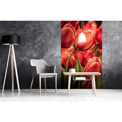 Dimex MS-2-0128 vliesová fototapeta na zeď Červené tulipány rozměry 150 x 250 cm