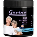 Gavino AKTIV Pro klouby PLUS 700 g