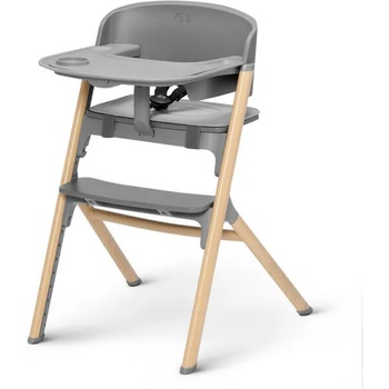 KinderKraft Igee