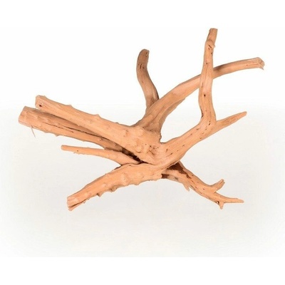 Tommi Azalea Root S 20-30 cm
