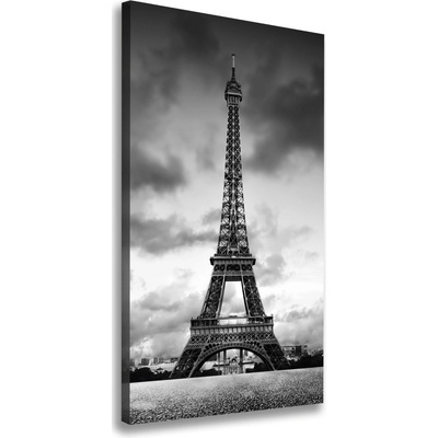 Vertikálny foto obraz na plátne Eiffelová veža Paríž 50x100 cm
