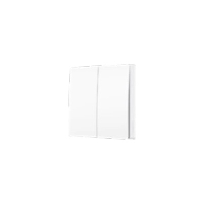 TP-Link TP-Link Tapo S220 Smart Light Switch 2-Gang 1-Way (Tapo S220)